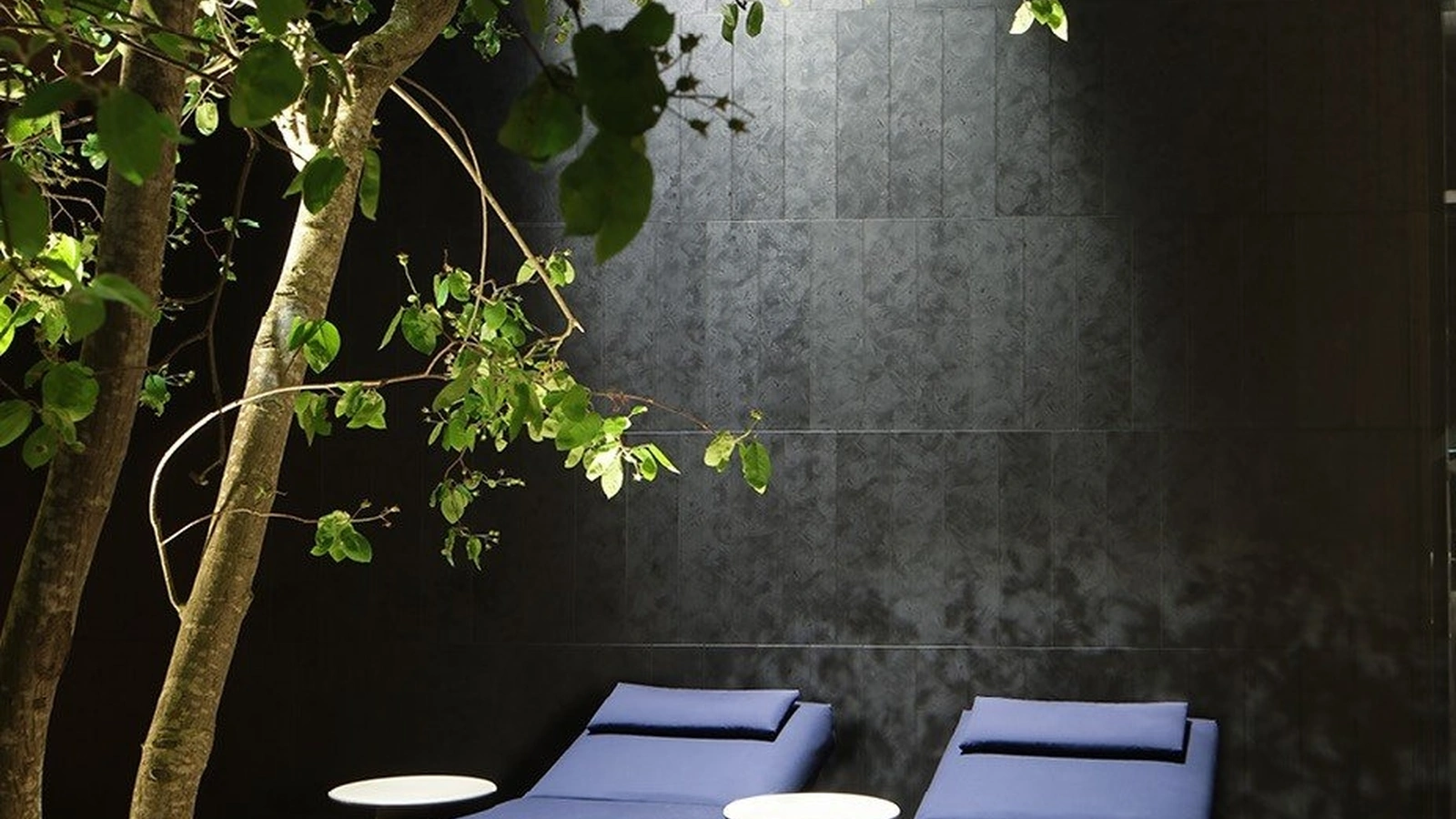 Sunbeds Ketch di Poliform